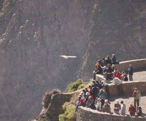 Colca Canyon Full Day