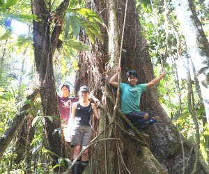 Amazon Jungle Tours 6D